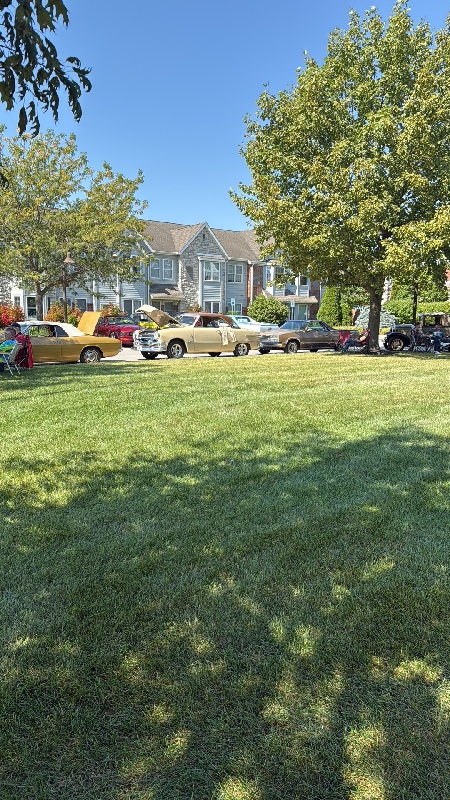 L I H A C   C a r   S h o w   A t   U n i v e r s i t y   P l a c e   