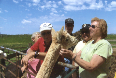 LIHAC Tour Llama Farm