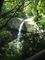 Williamsport And The Falls